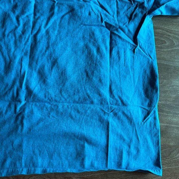 Hanes 2018 Awhonn Convention Tampa Florida Teal T-shirt Size L - Picture 13 of 14